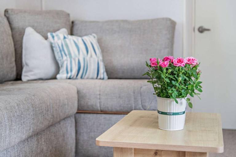 Beautiful vacation home with sauna | Pet-friendly in Lymington