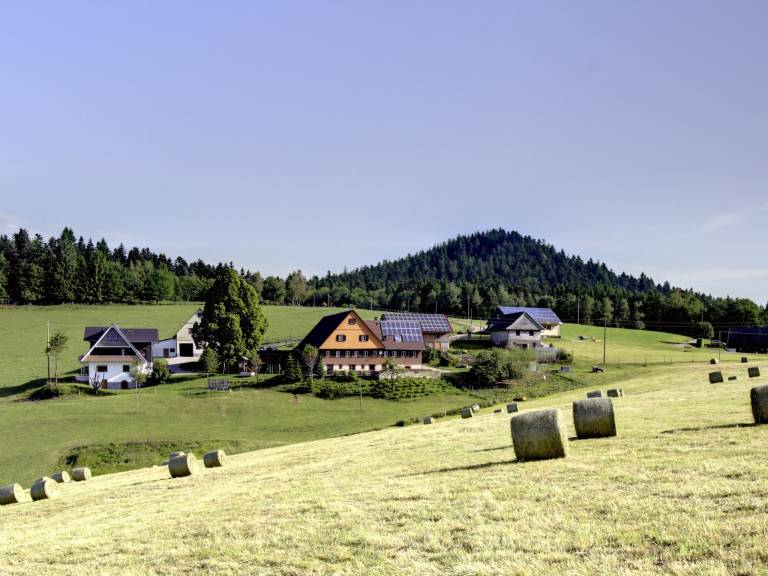 Ferienwohnung  Wolfach