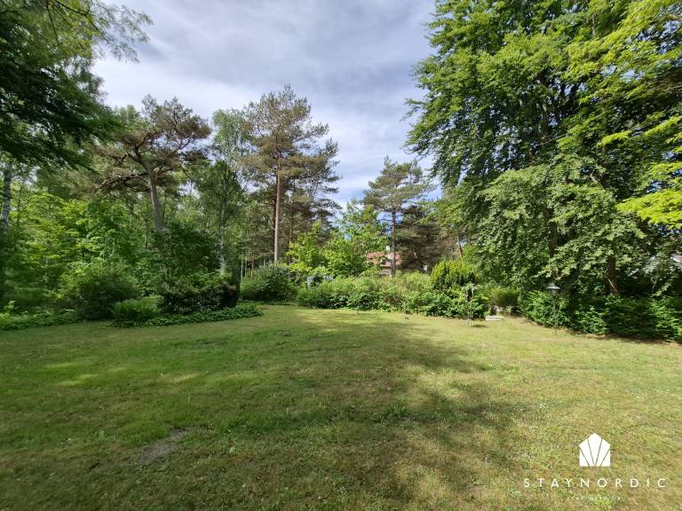 foto20