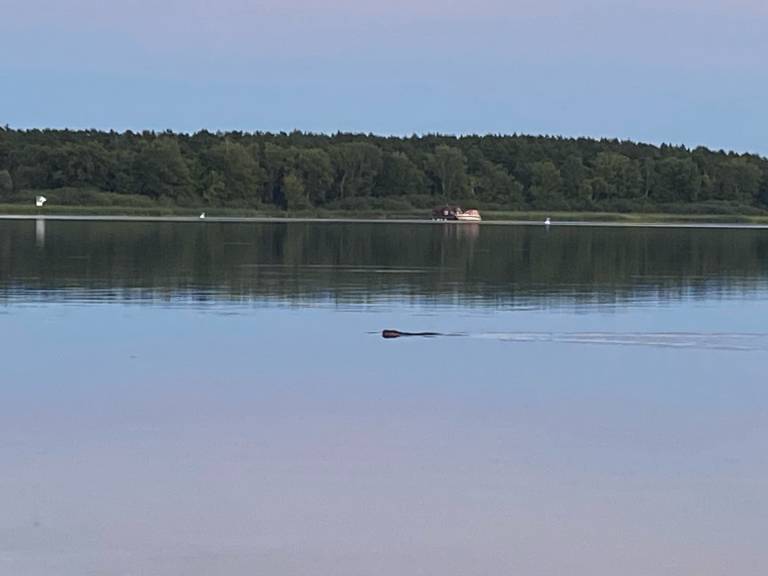 foto14
