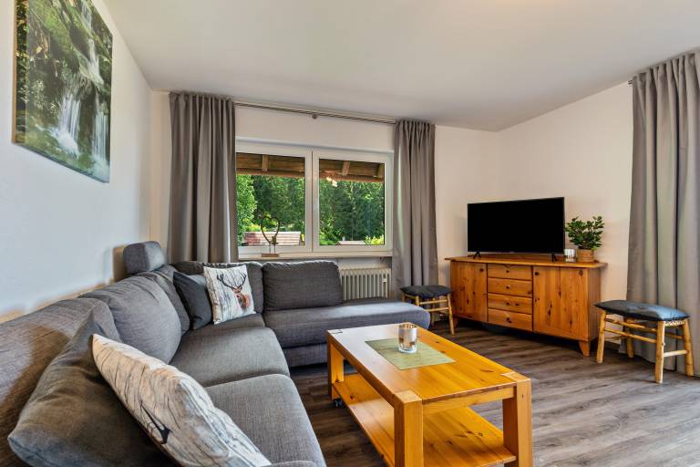 Child-friendly big rental apartment with yard, fast internet & BBQ | Mountain view | Pets allowed — photo 4