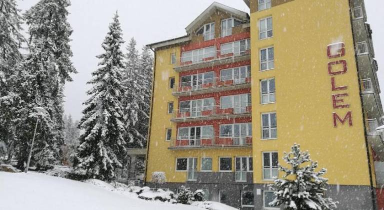 Lovely holiday apartment | Pets allowed — photo 4