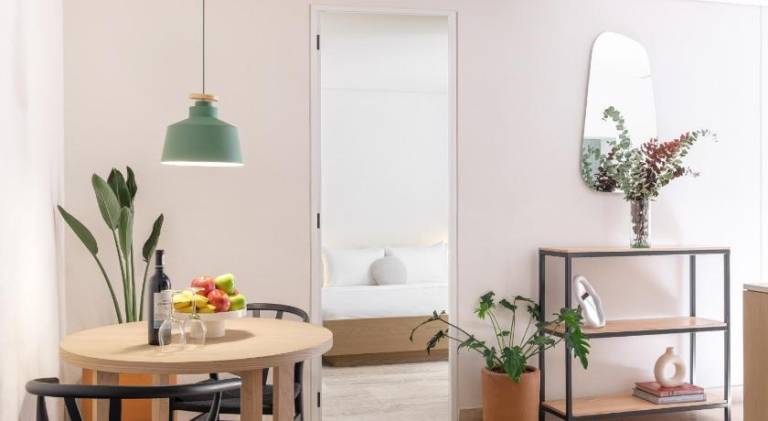 Serviced apartment with yard & terrace in Mexico City