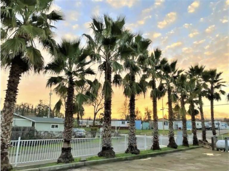 Apartment  Lakeport