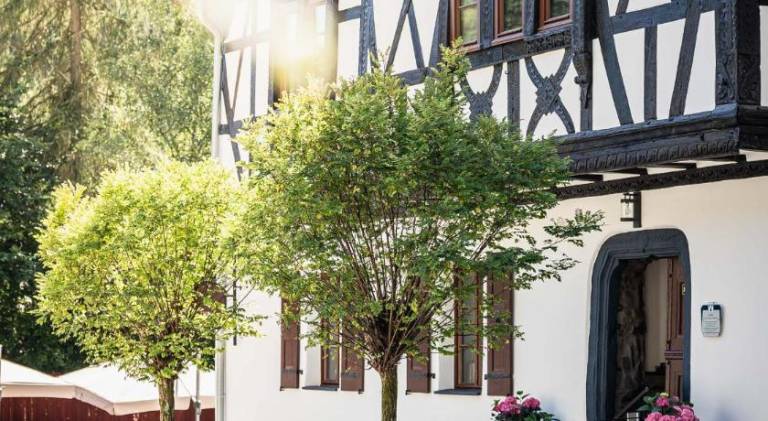 Landgasthof zur Burg Grenzau — photo 4