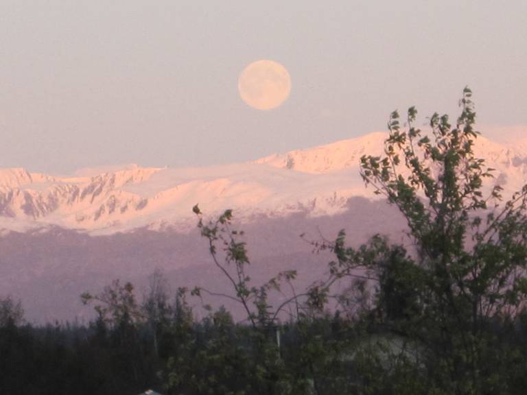 House  Kachemak