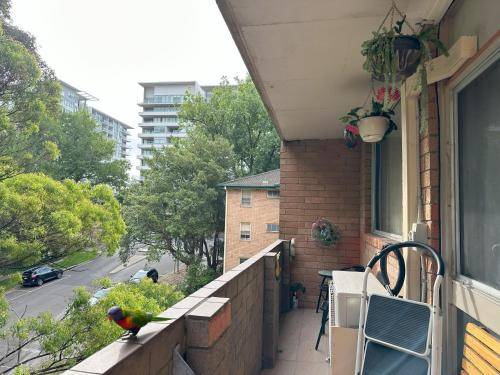 foto1