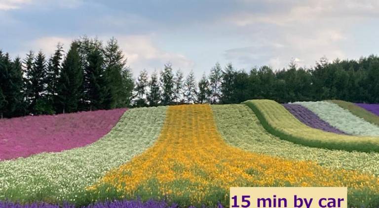 foto15