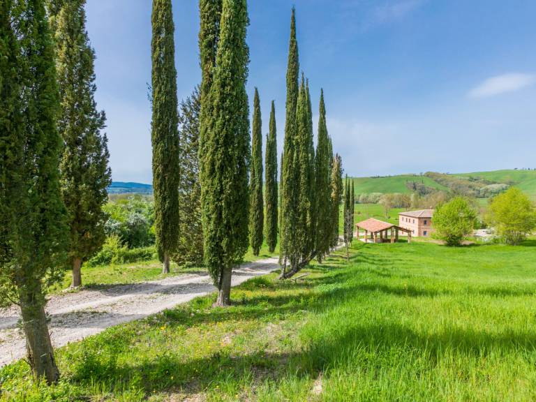 Podere Vetricella — photo 3