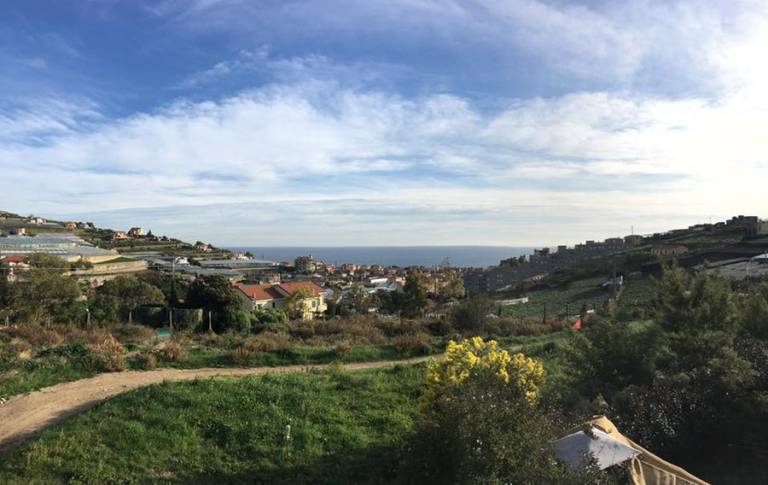 foto17