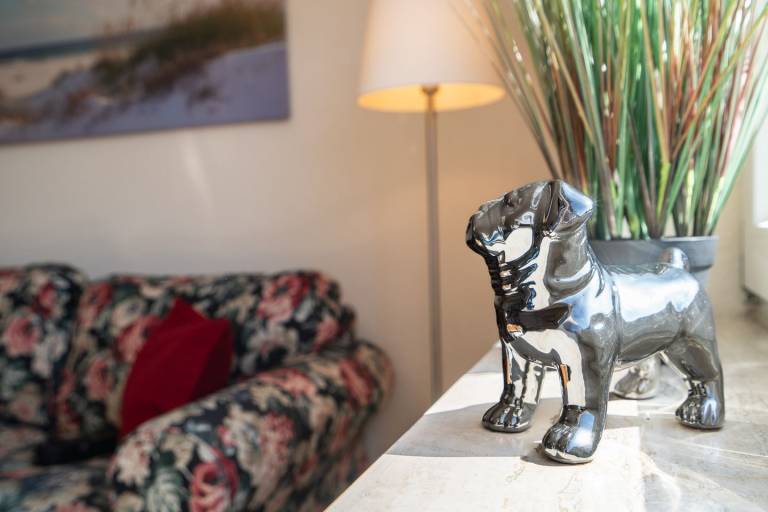 Gemütliche Ferienwohnung, eingezäunter Garten - perfekt für Zwei, ihren Hund und Radfahrer — photo 3