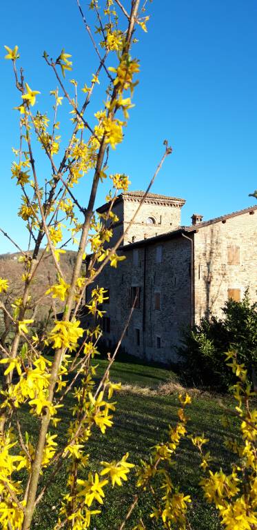Agriturismo Castello di Serravalle