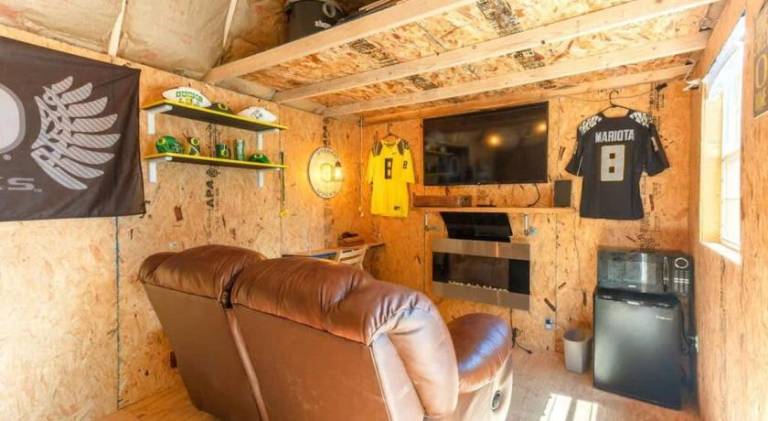 Big house | Pets allowed — photo 3