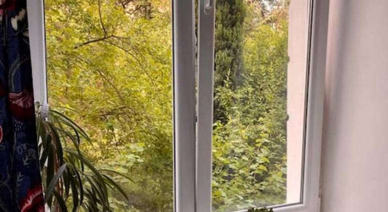 Holiday apartment | Pet-friendly — photo 4