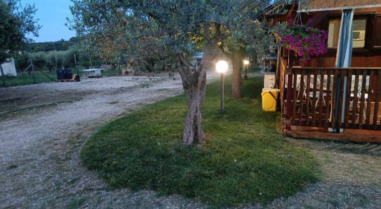 foto30