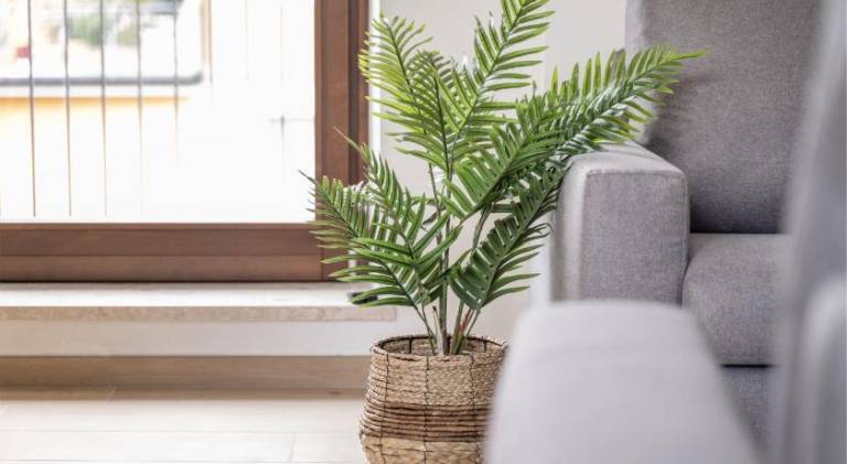 Holiday apartment | Pets are welcome — photo 5