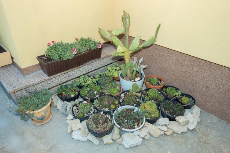 foto8