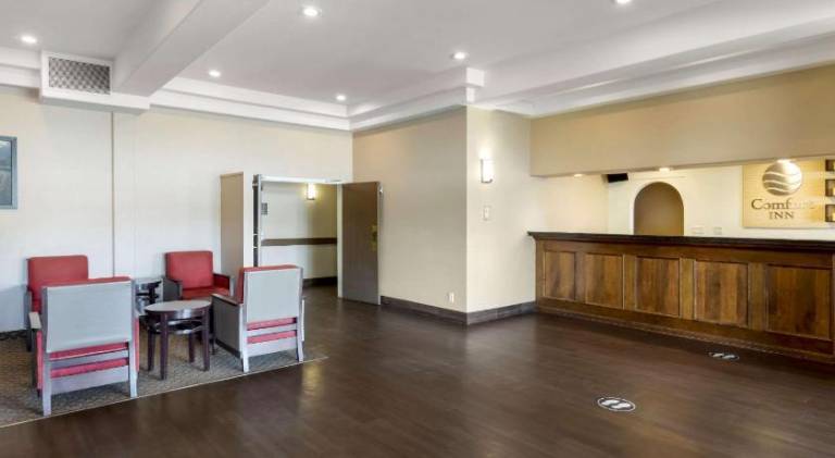 Comfort Inn — photo 3