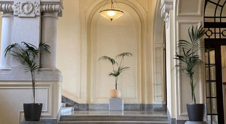 Apartment | Next to Royal Palace | Pet-friendly — photo 3
