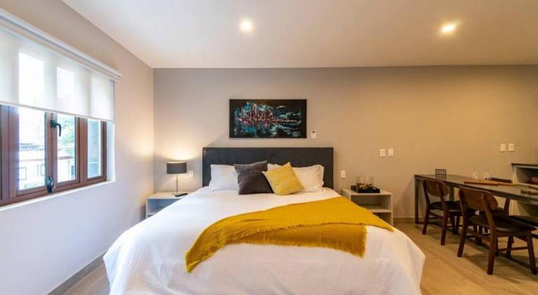 Rental apartment | Near Frida Kahlo Museum | Pets are welcome in Mexico City
