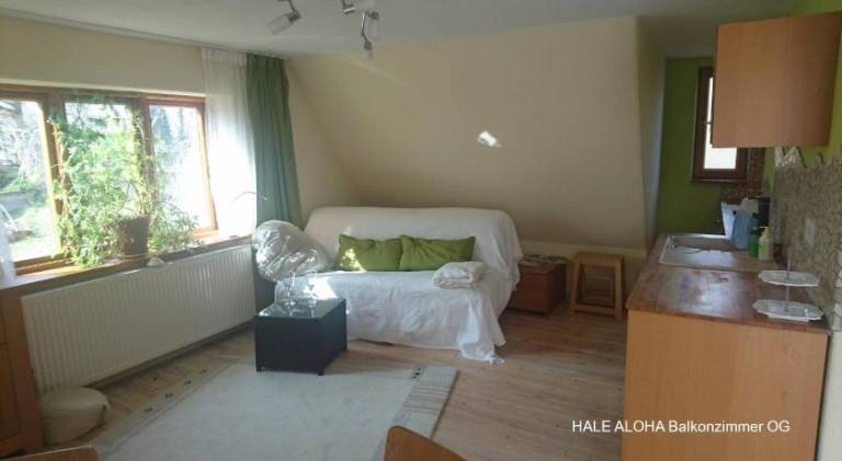 House with garden, terrace & barbecue — photo 2