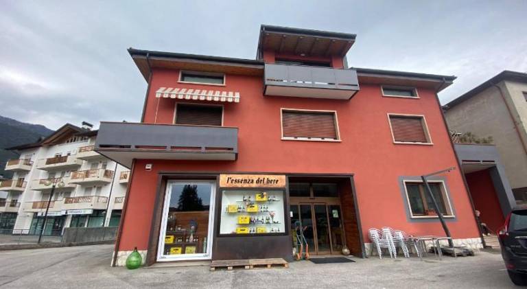foto3