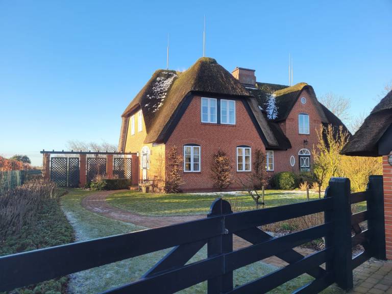 foto1