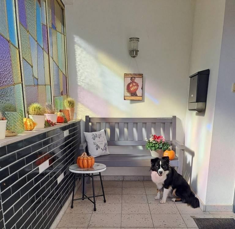 Holiday apartment with garden — photo 2