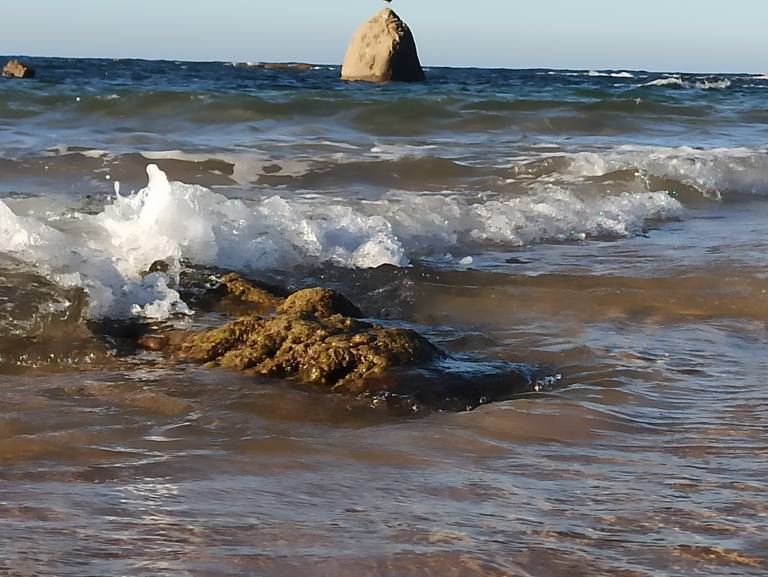 foto42