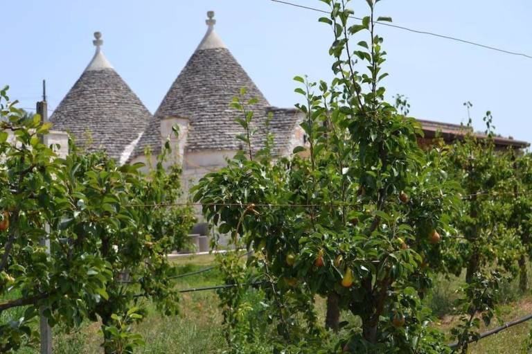 Agriturismo Castellana grotte