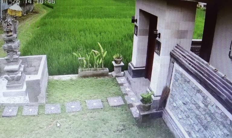 Sarin Pertiwi Private villa in Tegallalang