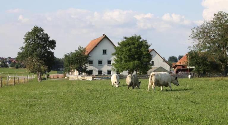 Ferienwohnung Ochsenhausen