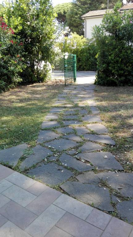 foto6
