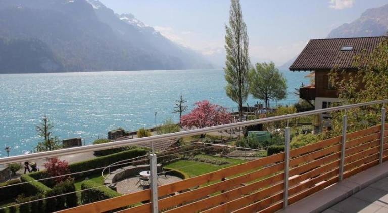 Pleasant apartment with pool | Pets are welcome in Interlaken
