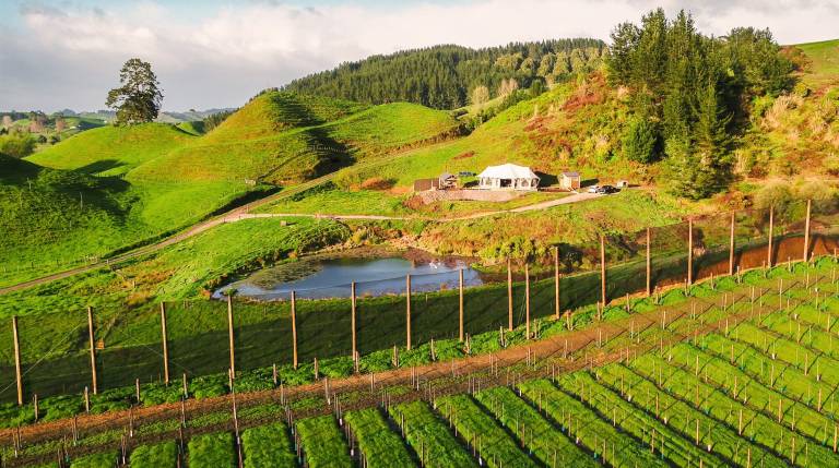 Resort Otorohanga