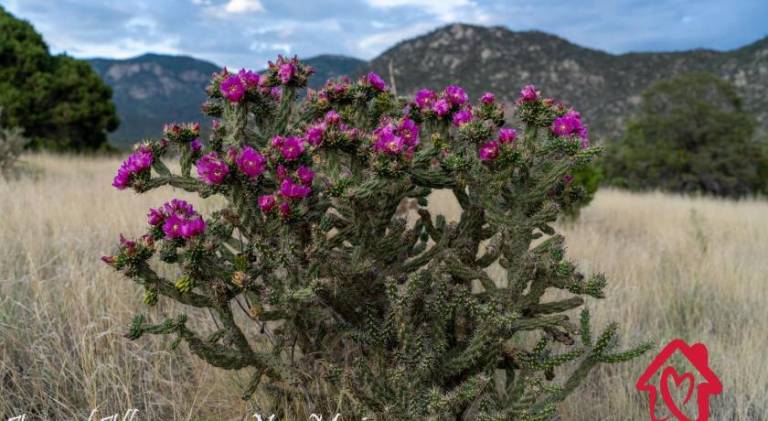 foto49