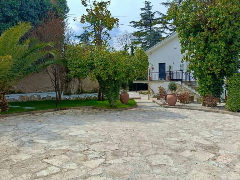 foto16