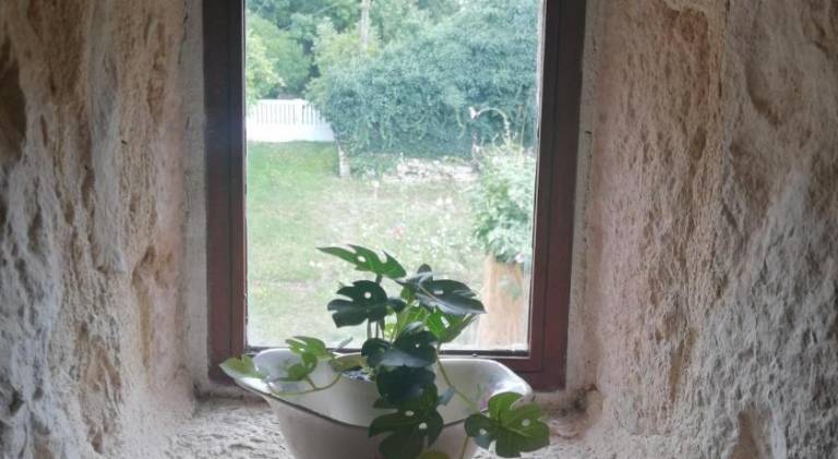 foto32