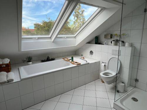 foto9