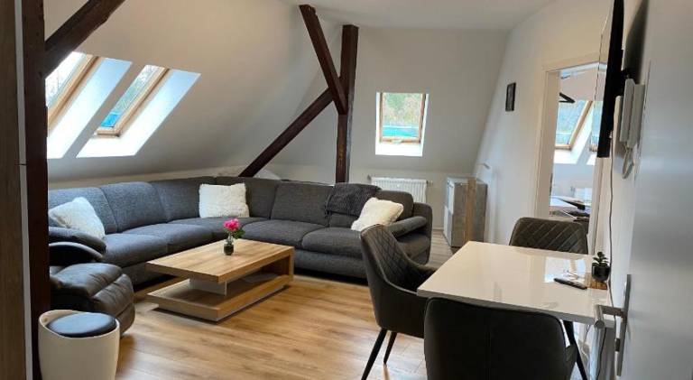 Holiday apartment | Dogs allowed in Chemnitz