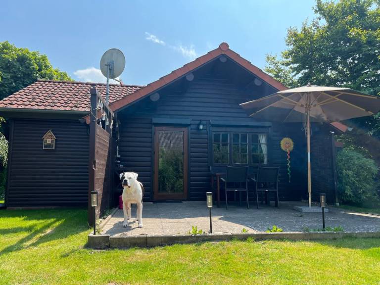 foto14
