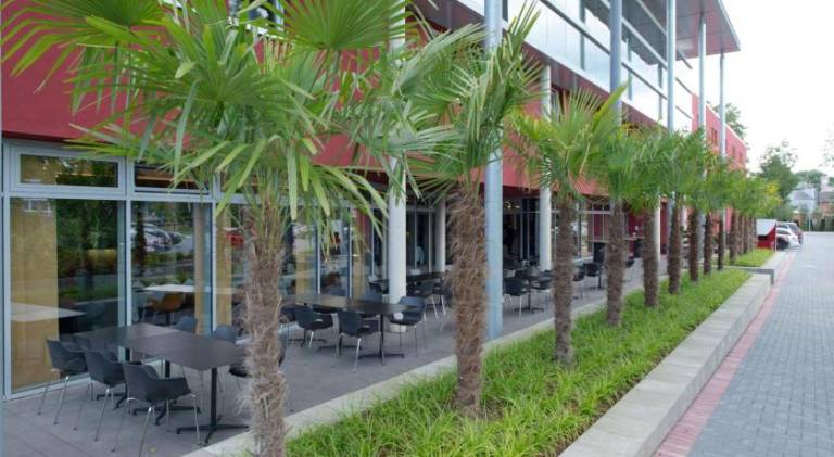Best Western Plus Hotel Brueggen — photo 4
