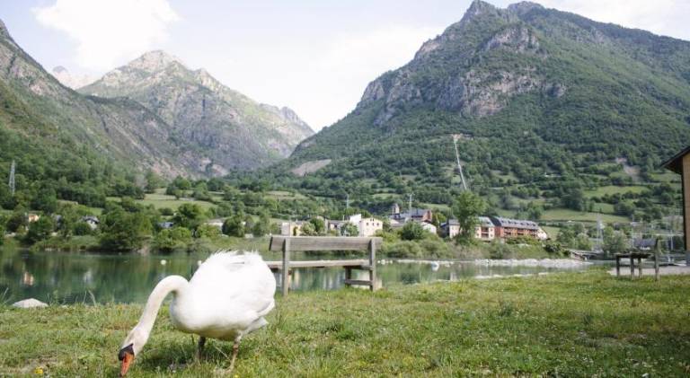 Holiday apartment with 3 rooms for 8 persons — photo 4