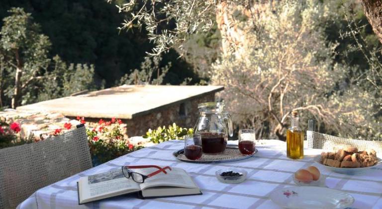 House with terrace, garden & barbeque in Platanias
