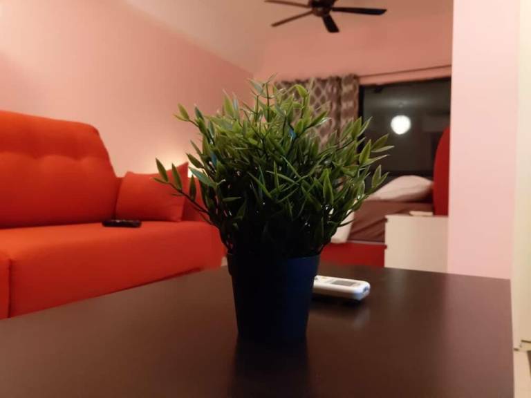 foto45
