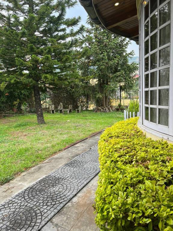 foto15