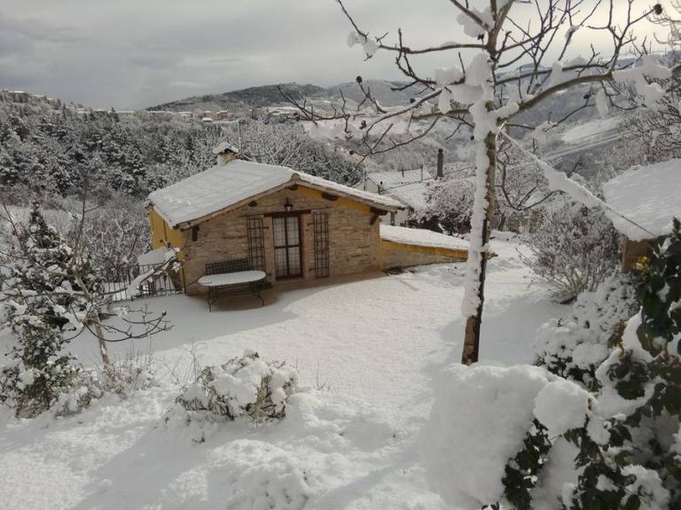 Agriturismo Arcevia