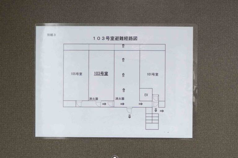 foto12