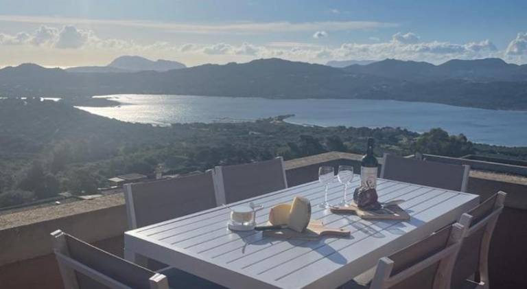 Rental apartment | Dogs allowed in Olbia