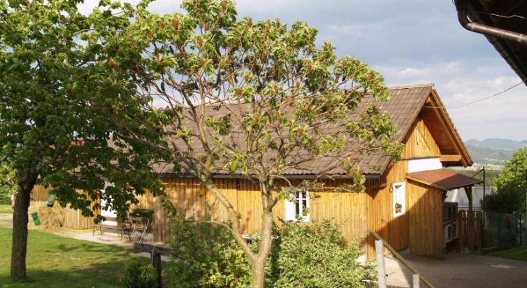 Apartmán  Pohorská Ves